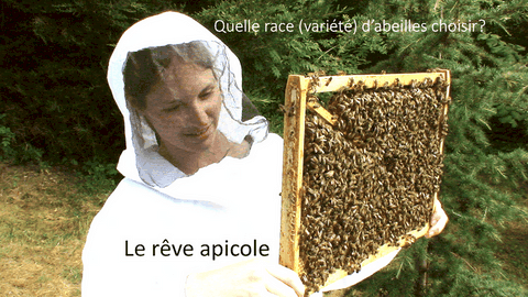 Vente essaims d'Abeille Noire Française Trouvez ici des essaims d'Abeilles Noires à vendre