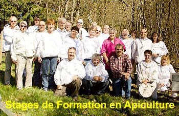 La formation en Apiculture est essentielle. Sans elle, c'est un tout droit dans le mur